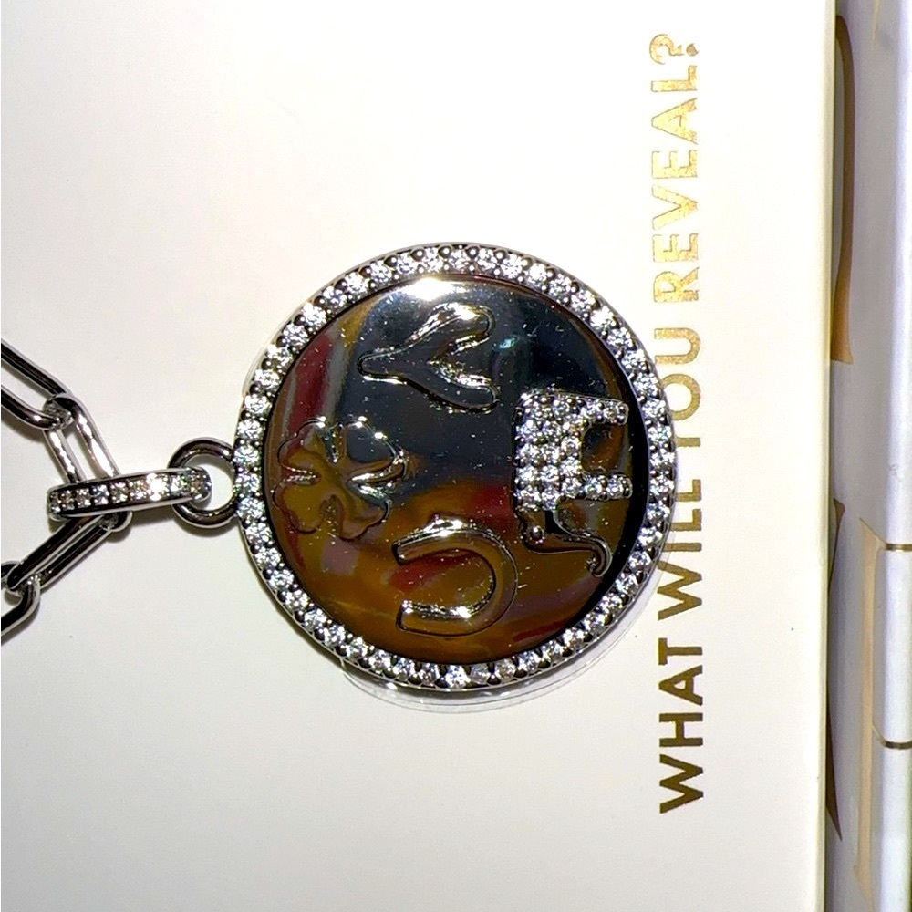 Luxe Layer 2025 - Luck and a lot of Hustle BP Necklace - Picture 4 of 6